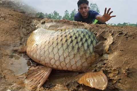 Wow Really Smart Hand Fishing In River Dry Place Underground Fish Catching