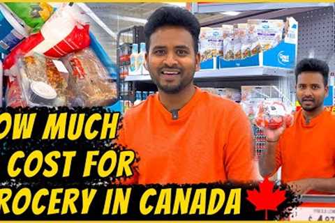 Grocery Shopping Budget in Canada 2023!