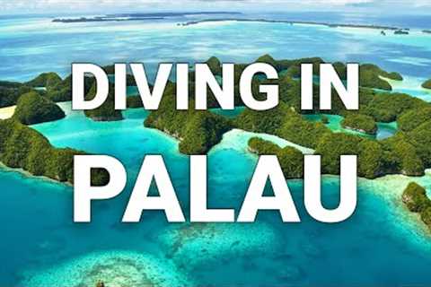 Scuba Diver Dive Guide to Palau