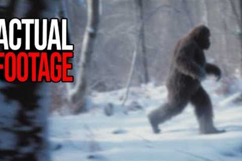 Wow Trail Cam Footage That Broke YouTube