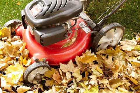Five Tips to Deal with Falling Leaves