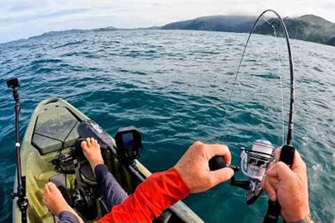 Offshore Kayak Fishing a Remote Coast (CATCH CLEAN COOK) Multi-Species Slayfest in Panama