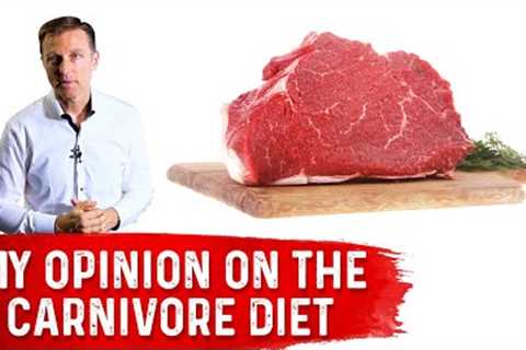 Dr. Berg's Opinion on Carnivore Diet