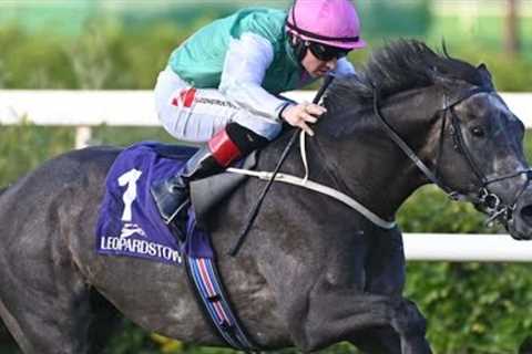 Sky the limit for exciting Leopardstown winner Waltham | Racing TV