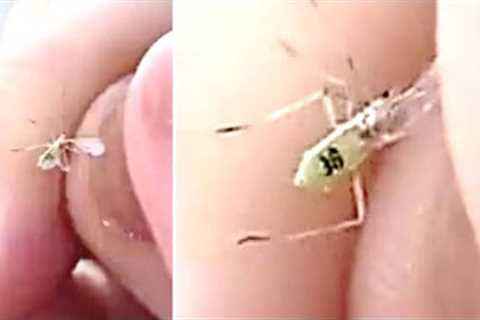 This Scientist Just Revealed They've Released This Into The Wild And Said They Are Doing This