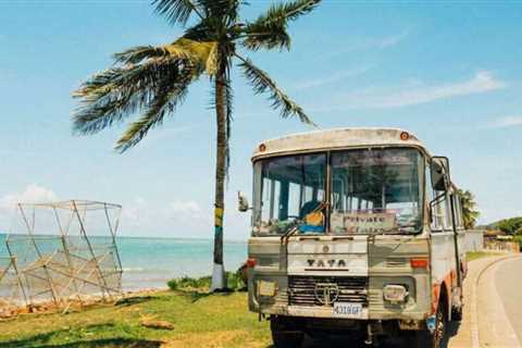 Jamaica Must-Have Experiences for First-Time Visitors