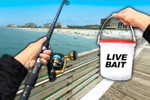 I NEVER thought I'd Eat This Fish.. (Catch and Cook) Pier Fishing