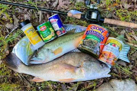 Eating Whatever We Catch on Our New Favorite Lake!