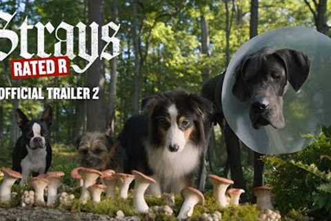 Strays | Official Trailer 2