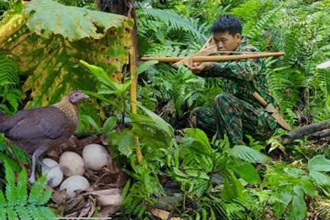 Survival, going to collect firewood, discovering wild chickens laying eggs, survival skills