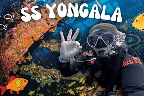 Scuba Diving the SS Yongala Wreck | Best Wreck Dive in the World??!