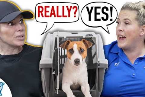 A REAL Conversation About How Crate Training Changes EVERYTHING!