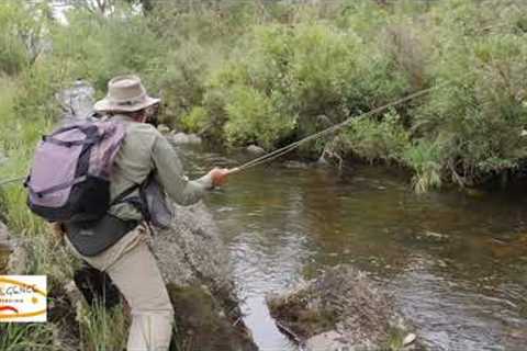 Ever wanted to see a professional Fly Fisherman work a stream...
