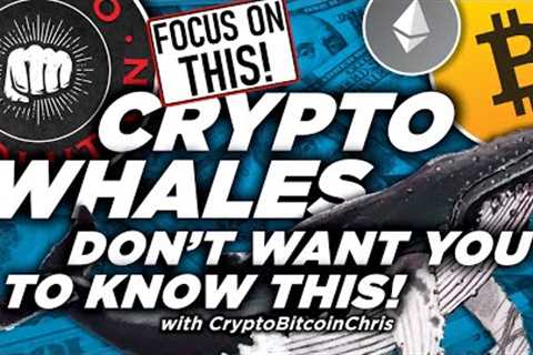 MILLIONAIRES INCOMING SOON! BITCOIN HALVING RUN UP GETTING CLOSER! WILL WE SEE ONE MORE BTC DIP?