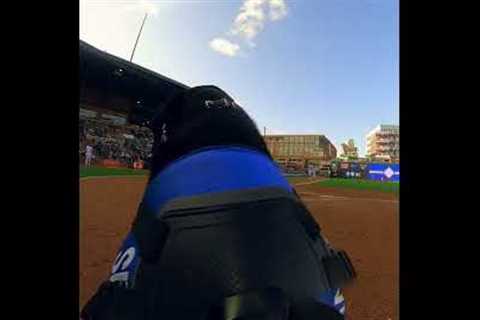 Home runs and Fireworks! #baseball #dogs #pov #gopro #homerun