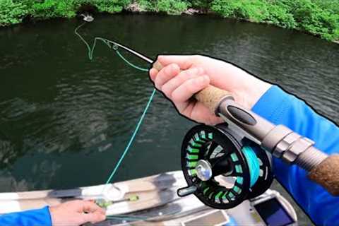 FLY FISHING for BIG AGGRESSIVE BASS | EPIC ACTION