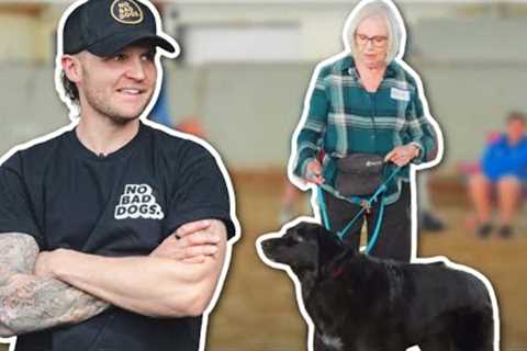 Incredible Dog Training with dog who won’t listen!