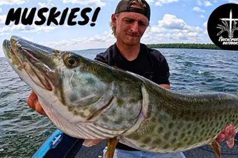 Musky fishing July 2023! (Leech Lake)