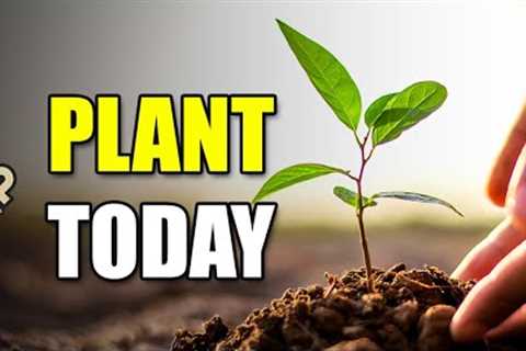 25 Vegetables You Need To Plant In August 2023