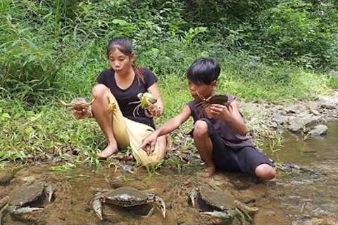 Survival skills: Wow Catch biggest crab in river for food - Big crab spicy cooking for dinner