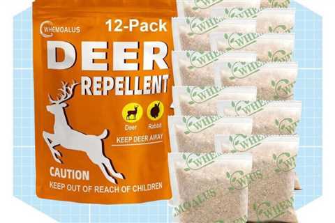 7 Best Rabbit Repellants to Save Your Garden from the Adorable Creatures