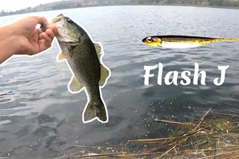 We found the School... (Lake Miramar Bass Fishing)