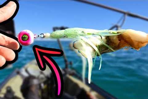 The BEST HYBRID Fishing Bait Lure!?!