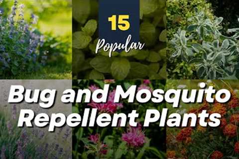 15 Natural Bug and Mosquito Repellent Plants 🌼🦟🌿 Keep Annoying Insects Away!