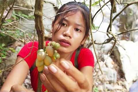 Survival Skills Finding wild fruit and catching red fish for jungle Cooking and eating