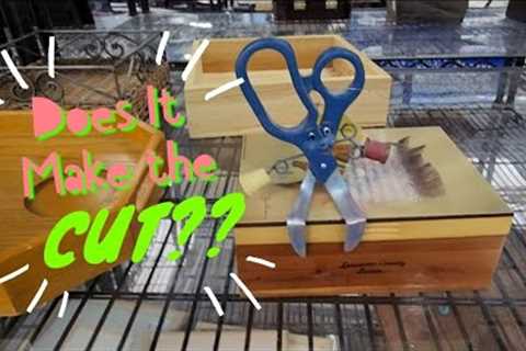 Should I Start Shopping Here Again? - Shop Along With Me - Goodwill Thrift Store