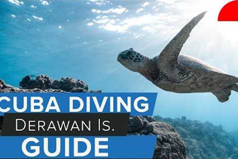 Scuba Diving Derawan Islands Guide w/  @AggressorAdventures   #scuba #indonesia