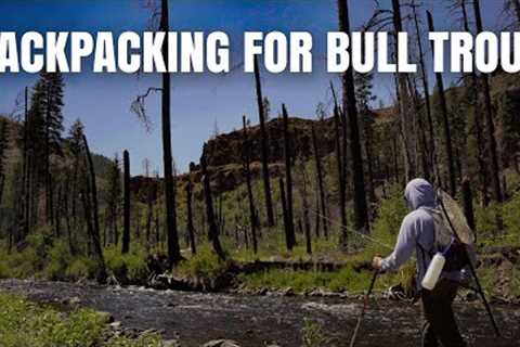 SOLO Backpacking and Fishing Adventure for BULL TROUT