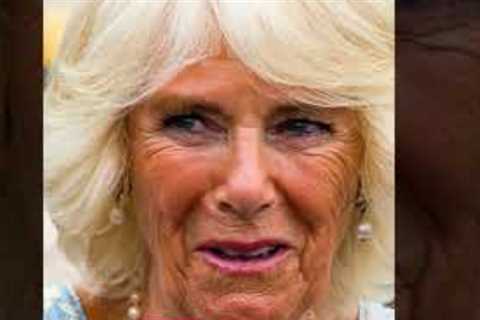 Camilla and Diana's Scathing Names