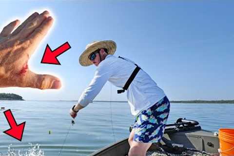 Fishing Jug PLUNGED UNDER by BIG FISH &amp; Gets My Hand! (Catfish Catch &amp; Clean)