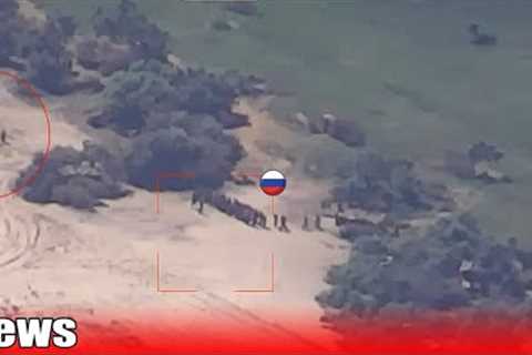 Suicidal dreams of the Wagner group and Ukrainian safari🔥Ukraine war footage