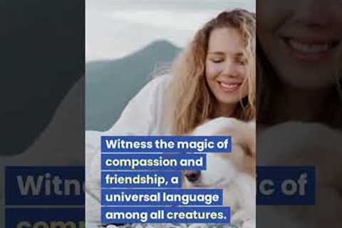 Incredible Animal Friendships 🐾