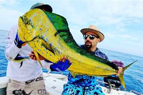 CATCHING GIANT DOLPHIN FISH [CATCH CLEAN COOKED HUATULCO OXACA MEXICO]