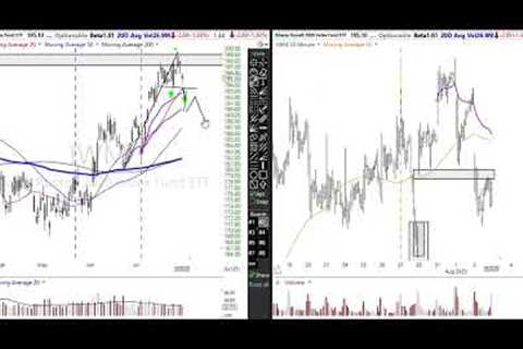 August 2 2023 Stock Market Analysis