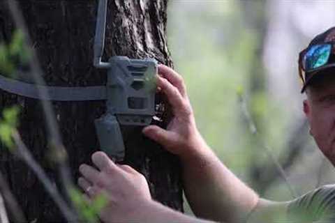 How to Activate Your FLEX-series SPYPOINT Trail Camera | Trail Cameras | SPYPOINT