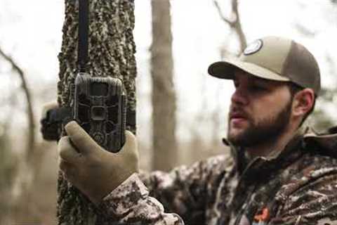 Deceptor Cell Cam by Stealth Cam