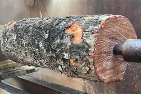 From Logs to Wonders The Extraordinary Work of a Talented Woodturner with Incredible Handiwork