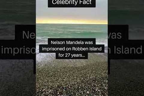 Interesting facts about celebrities 10