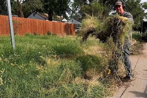 Lawn Was So OVERGROWN The HOMEOWNER Couldn't MOW It So They Called Me