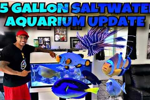 75 GALLON SALTWATER AQUARIUM UPDATE