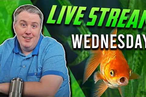 Wednesday Night Fish Tanks - Live Podcast Episode 287