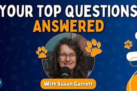 AMA: Aggression? Agility? This!? Belief? Routine? Dog Training? And More Questions Answered #223