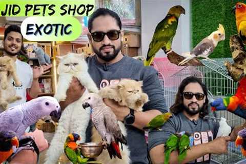 Exotic Pet Shop in Mumbai | Wajid Exotic Pets Shop | Birds | Cats &amp; More| Delivery Anywhere in..