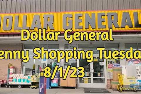 Dollar General Penny Shopping Tuesday 8/1/23 #dollargeneral #dg #pennyshopping #pennyshopper #save