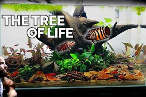The MOST TERRITORIAL Rare Nano Fish!! in Botanical Aquarium Build