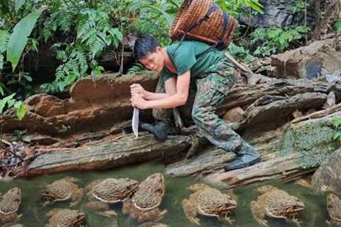 Survival, skills, catching stream frogs, survival alone, survival instincts